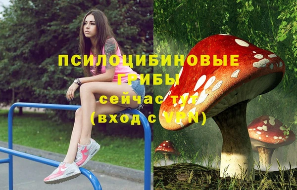 таблы Елизово