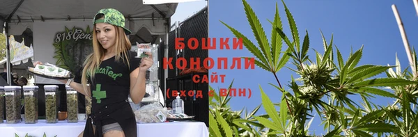 прущие крисы Ельня