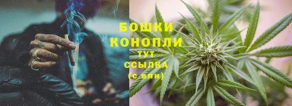 прущие крисы Ельня
