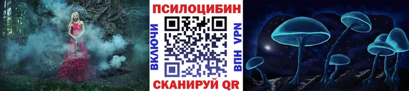 что такое   дарк нет телеграм  Галлюциногенные грибы MAGIC MUSHROOMS  Среднеуральск 